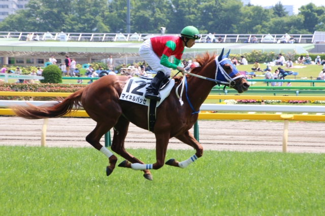 返し馬 マイネルパッセ