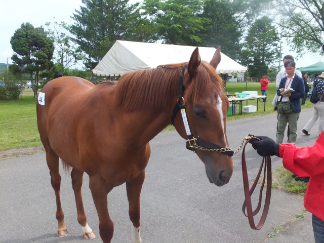 2014ＣＶＦ＆ＢＲＦツアー② フロムマイハート