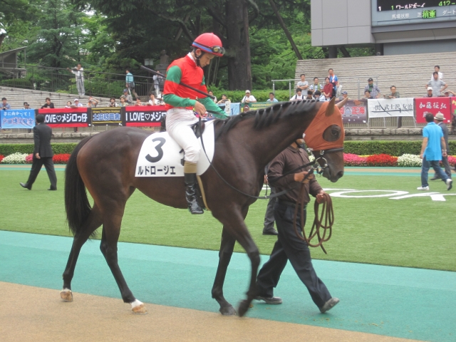 未勝利戦のパドック ルドロージエ