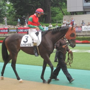 未勝利戦のパドック