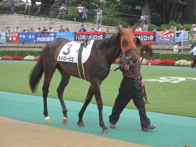 おとなしい周回です ルドロージエ