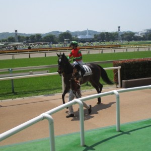 本馬場入場