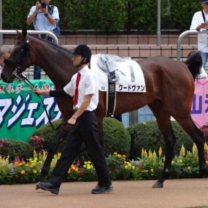 未勝利戦 パドック