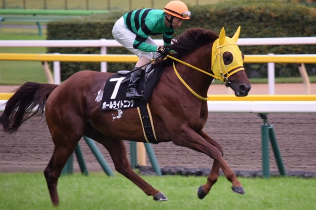 返し馬 ボールライトニング