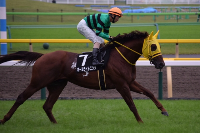 返し馬 ボールライトニング