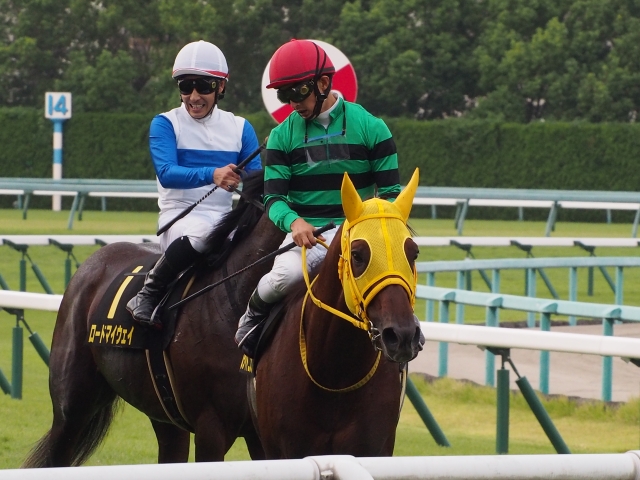 ポートアイランドＳ　レース後 ボールライトニング