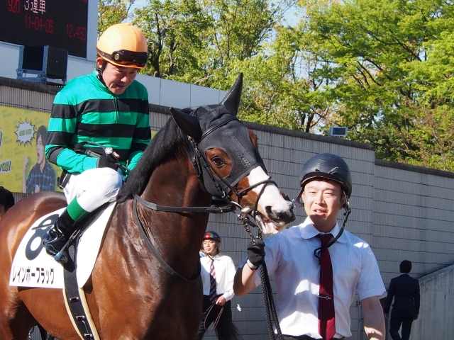 京都1000万下4着時パドック レインボーフラッグ