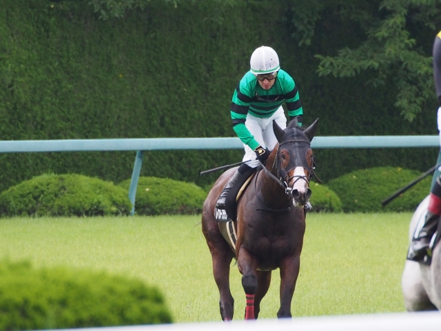 城崎特別２着時レース後 レインボーフラッグ