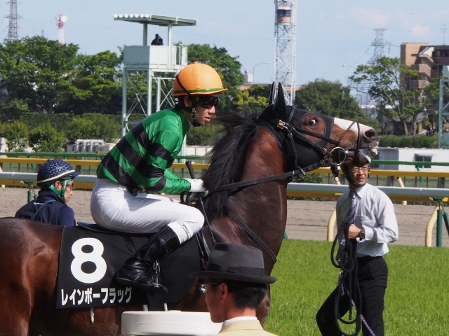 晩春ステークス　本馬場入場 レインボーフラッグ