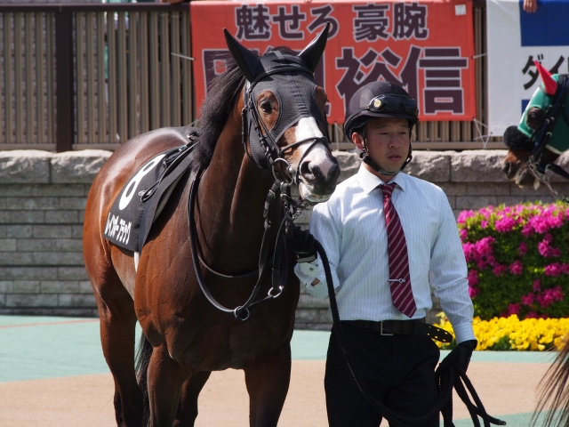 晩春ステークス　パドック レインボーフラッグ