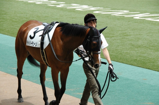 ６月４日　東京６R　未勝利(牝)　芝1800 ライトリーチューン