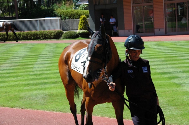 9月4日　新潟7R　3歳未勝利　芝2000 ライトリーチューン