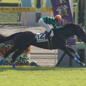 新馬戦 ゴール前