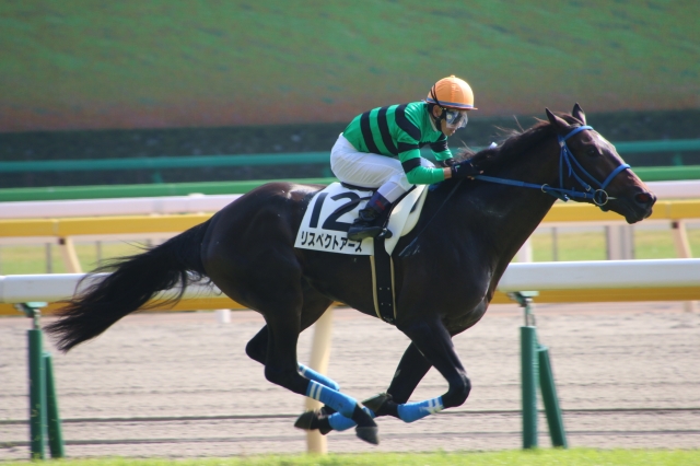 新馬戦 リスペクトアース