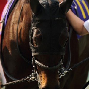 パドックにて今日も気合いを表に出しています