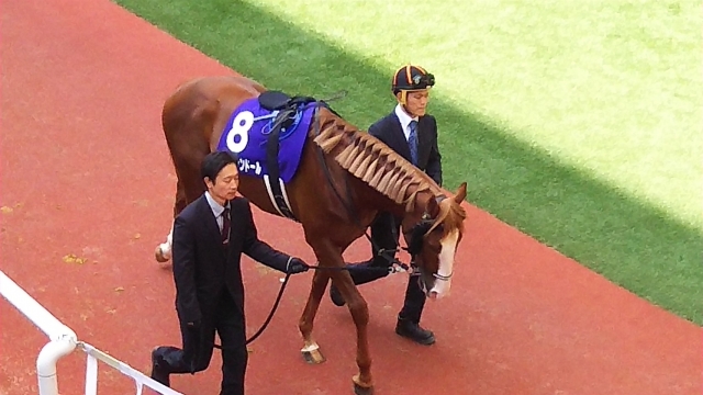 いい雰囲気のパドック ロードヴァンドール