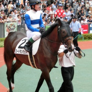 7/19 新馬戦パドック