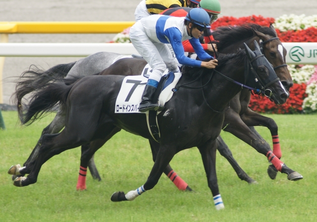 ２歳新馬戦３着 ロードインスパイア