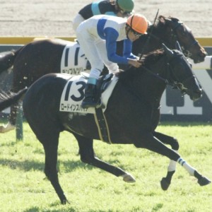 ２歳未勝利戦レース中(東京)