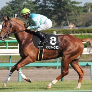 2015年10月3日（土） カンナステークス