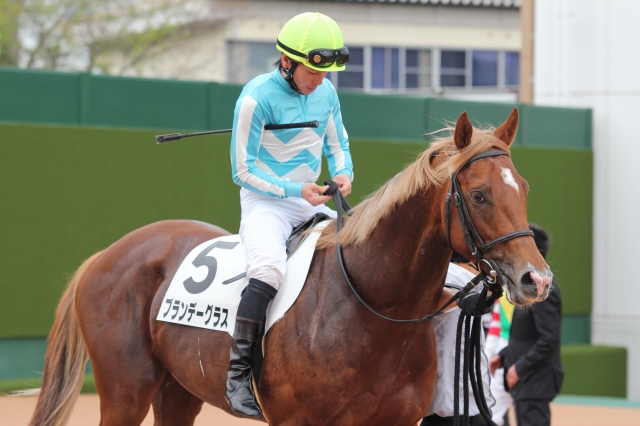 2016年4月16日（土）3歳500万円以下 ブランデーグラス