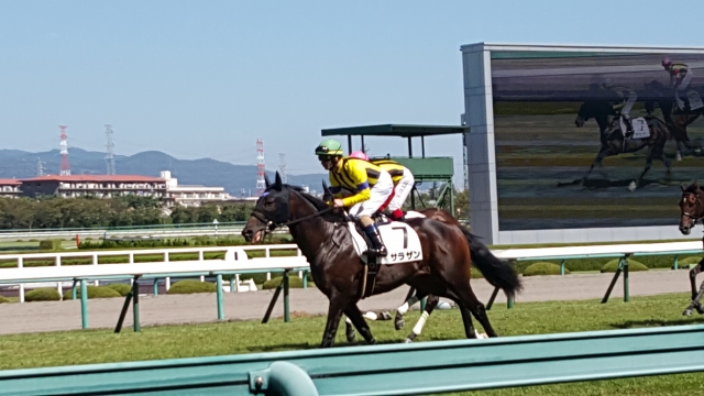 デビュー戦 サラザン