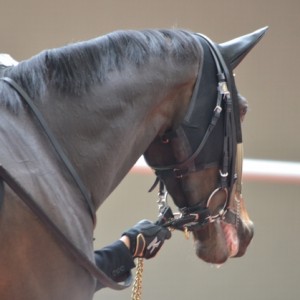 天神橋特別パドック