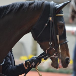 天神橋特別パドック