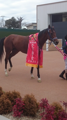 ホープフルS優勝 ハートレー