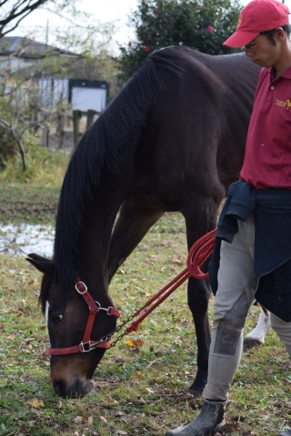 イグレッドにて レネレイド