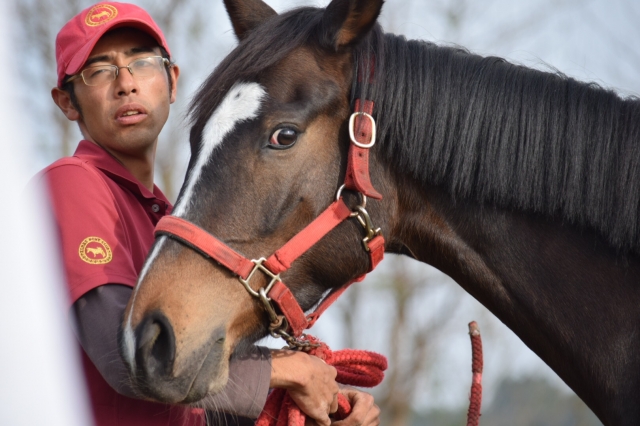 イグレッドにて レネレイド