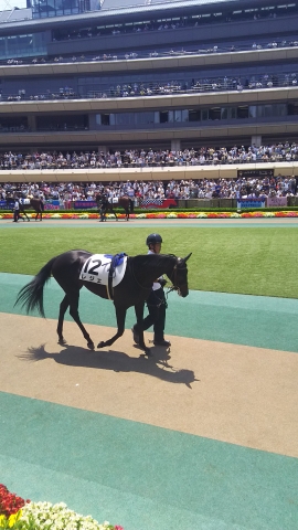 気合い乗りの良いパドック🎵 レジェ