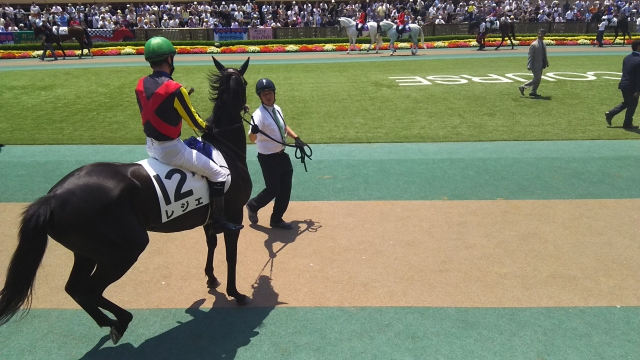 ルメール騎乗後チャカつくも、すぐ落ち着きました レジェ