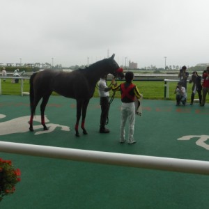 ウイナーズサークルにて。