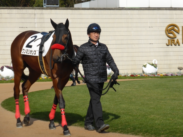 新馬戦パドック ワンミリオンス