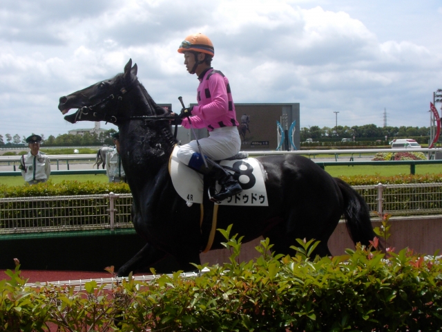 中京4Ｒ本馬場入場 ドゥドゥドゥ