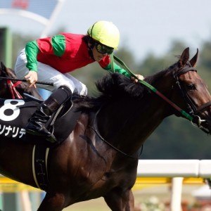 ダリア賞勝利②