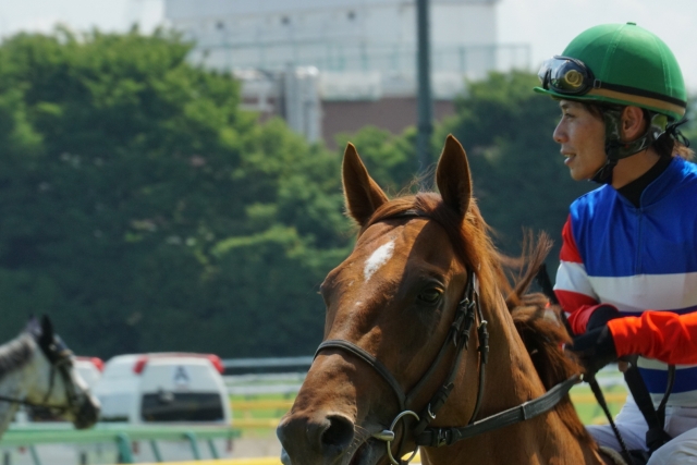 本馬場入場 ラスベガスシチー