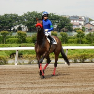 浦和 ツインベスト特別