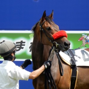 浦和 ツインベスト特別