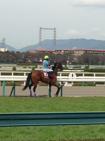 返し馬 ソーディヴァイン
