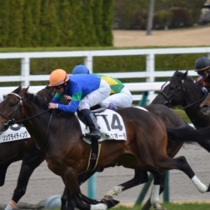 2016年3月13日　3歳未勝利