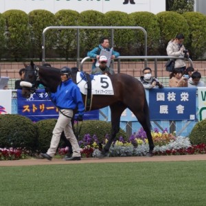 2016/03/26　パドック