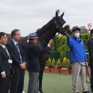 216/04/16　口取り