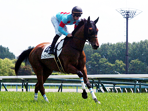 本馬場入場 ローズウィスパー