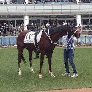 デビュー後２戦目の冬の日に。