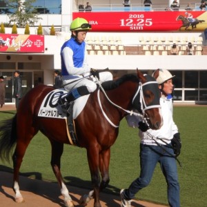 前走好走から優先出走権を持って今レースへ！が、12着・・・