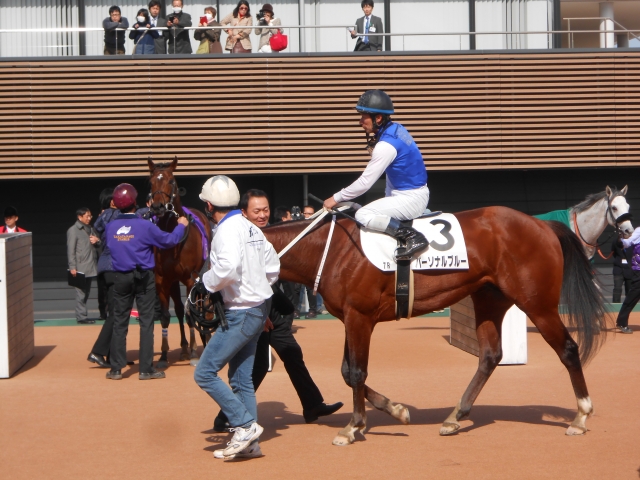 戦い終わって花道を後にするパーソナルブルー パーソナルブルー