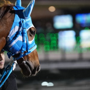 2023/1/17 船橋11R チバテレ盃