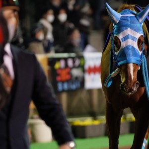 2023/2/8 船橋11R 報知グランプリカップ